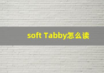 soft Tabby怎么读